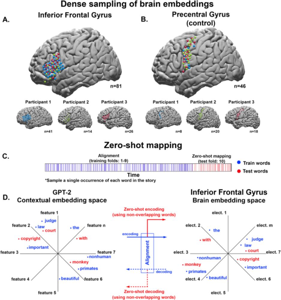 Alignment of brain embeddings and artificial contextual embeddings in natural language points to common geometric patterns - Nature Communications