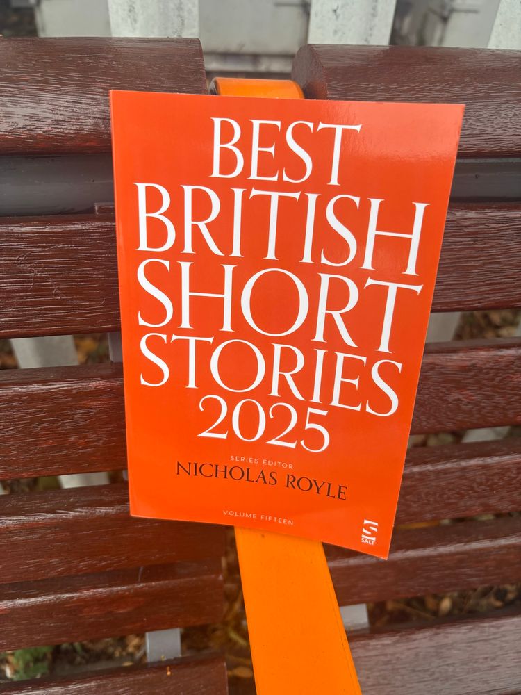 A bright orange copy of Best British Short Stories 2025, edited by Nicholas Royle, stood on an orange metal railing of a bench, the slats of which are rich mahogany-looking wood. 
