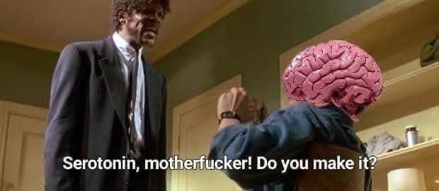 Samuel L Jackson screaming at a brain with the caption "Serotonin, motherfucker! Do you make it?" 