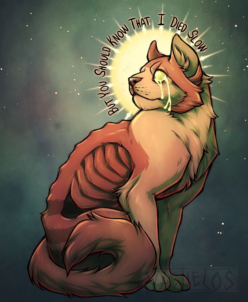 Digital drawing of the previous suncat from the comic Jumalanpelko. The previous suncat is very sickly looking, with the spine and ribs showing through skin, with cream and orange fur. The eyes are yellow with yellow tears running down. Behind their head is a halo with the words "but you should know that I died slow". The background is green.