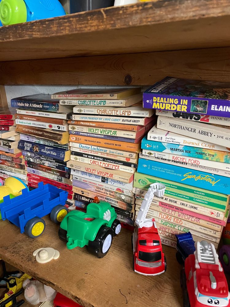 Toy trucks on a shelf in front of, like, a lot of copies of the book VIOLET WINSPEAR among others. 