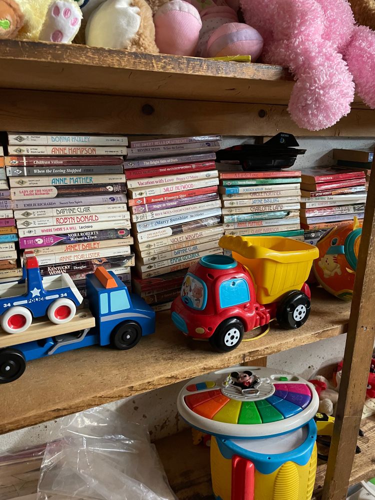 More toy trucks plus some stuffies and books including Vacation With Love and another VIOLET WINSPEAR which, upon further investigation, turns out to be the name of an author. 