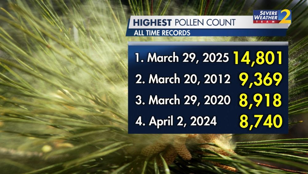 a graphic showing previous pollen count records, with today's pollen count breaking it  by 5500 