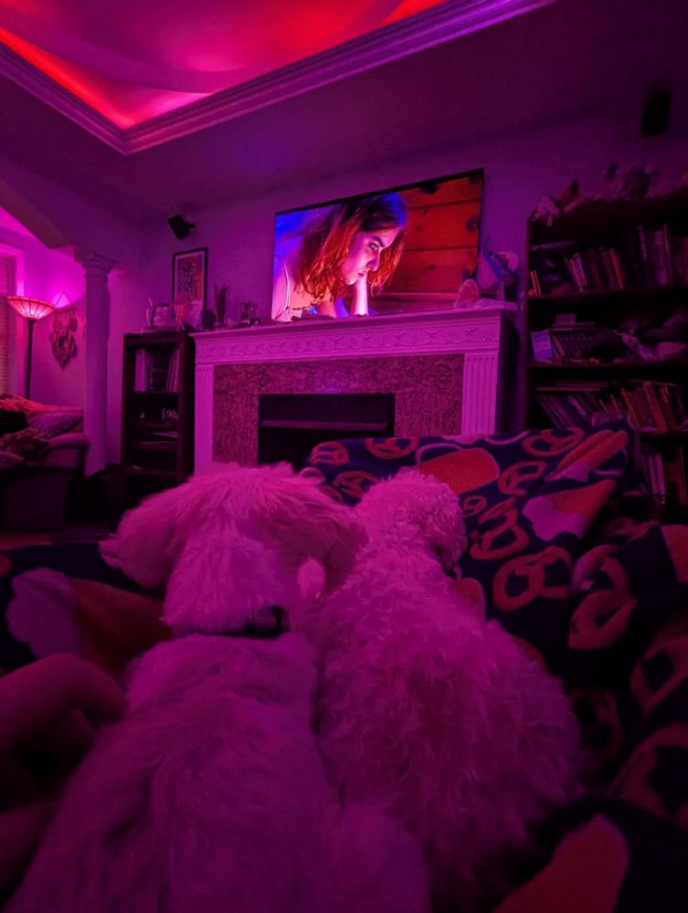 Moira and Joanie sitting in my lap watching T-Blockers with me. 