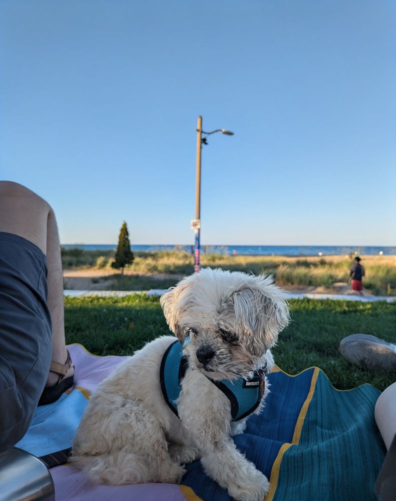 Moira enjoying the lake on a picnic blanket with us. 