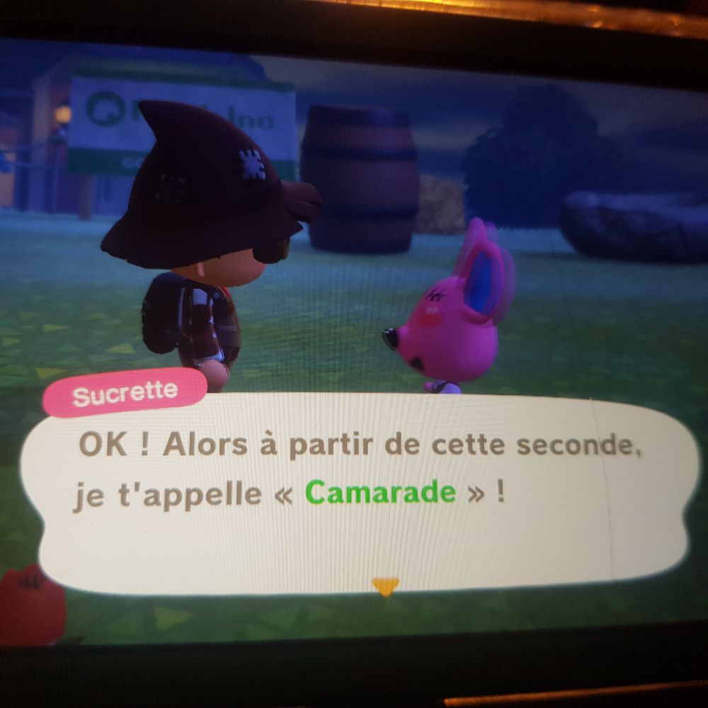 Animal Crossing. Sucrette dit "Ok! Alors à partir de cette seconde, je t'appelle "Camarade"!