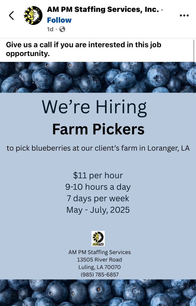 AM PM Staffing Services, Inc. •
Follow
1d・
Give us a call if you are interested in this job opportunity.
We're Hiring
Farm Pickers
to pick blueberries at our client's farm in Loranger, LA
$11 per hour
9-10 hours a day
7 days per week
May - July, 2025
AMPM
AM PM Staffing Services
13505 River Road
Luling, LA 70070
(985) 785-6857