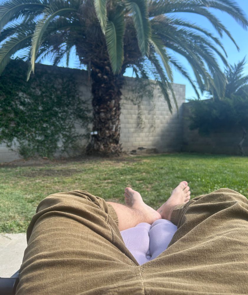 A back yard with a palm tree and a man with his feet exposed and propped up in the sun. 