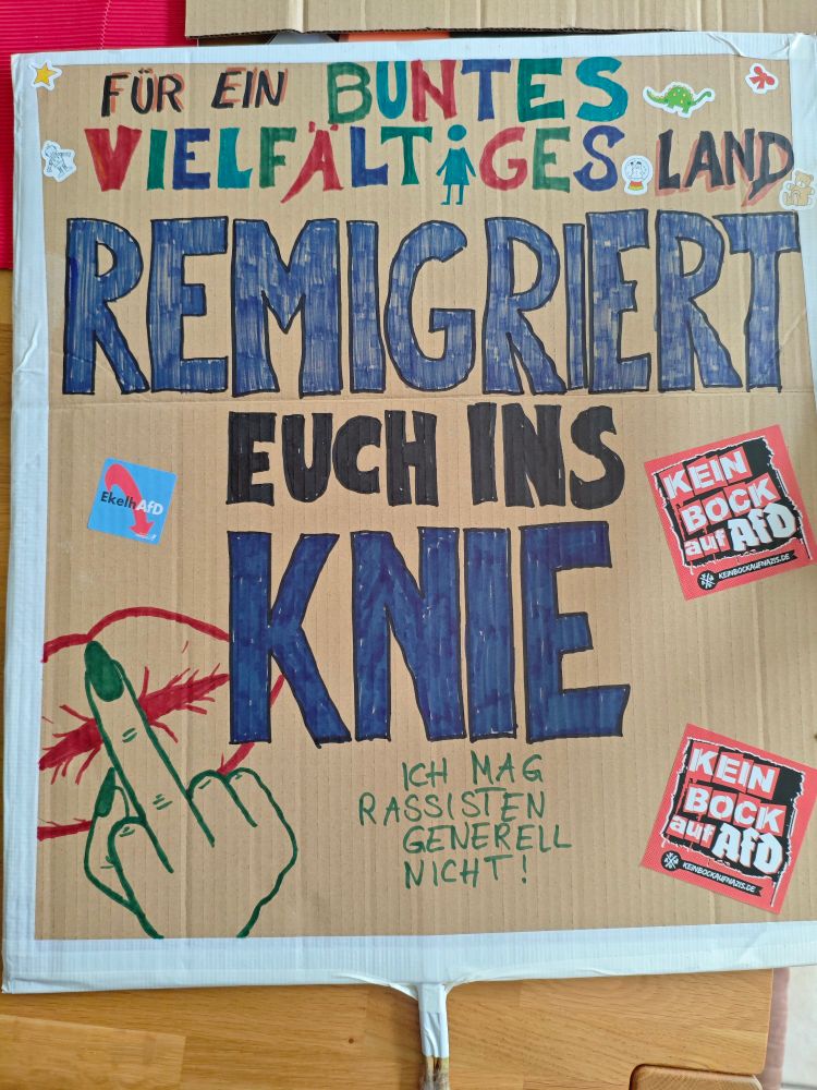 Plakat, auf dem mittig groß in Schwarzblau "Remigriert euch ins Knie" steht. Darüber in verschiedenen Farben "Für ein buntes vielfältiges Land".
Links unten ist ein Kussmund mit Mittelfinger davor. Rechts mittig und unten zwei Aufkleber, auf denen "Kein Bock auf AfD"; steht. 