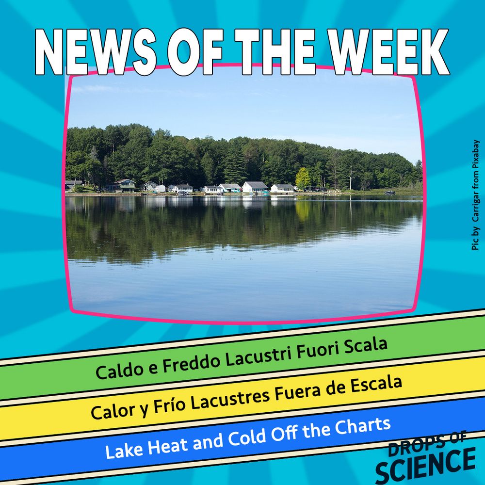 Image featuring a picture of a lake with houses on the coast, with the text "NEWS OF THE WEEK" prominently displayed at the top. Below, three lines of text in different colours provide translations of “Lake Heat and Cold Off the Charts” in Italian and Spanish. The background is bright blue with radiating lines, emphasising a vibrant and engaging theme related to science communication. The logo "DROPS OF SCIENCE" is positioned in the bottom right corner