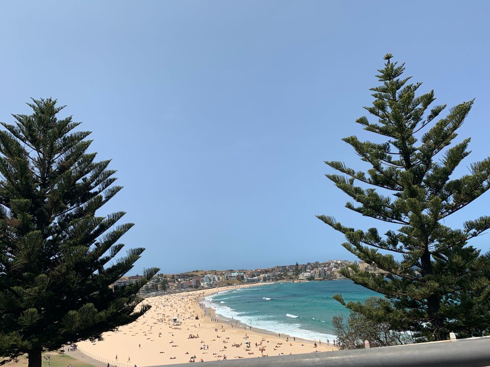 Bondi Beach Sydney Australia 