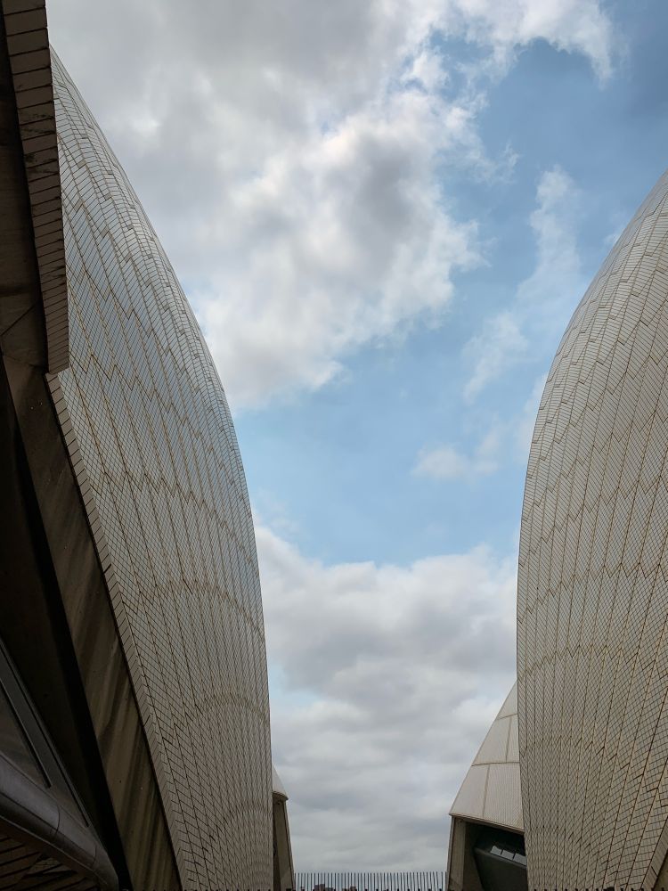 Between the shells at the Sydney Opera House