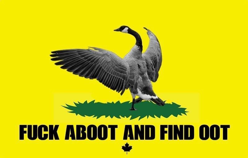 Image of Canada goose with wings outstretched and the text FUCK ABOOT AND FIND OOT