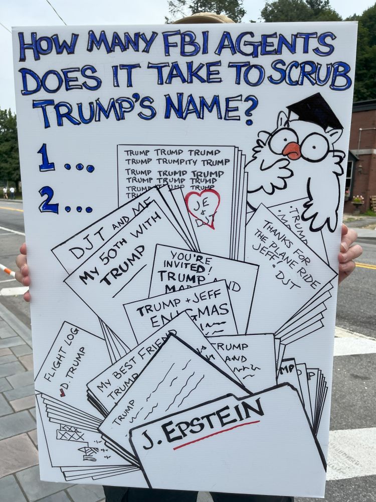 My sign. At the top it reads "How many FBI agents does it take to scrub (47)'s name? 1... 2..." Under the top statement on the right is a picture of the Tootsie roll owl. The rest of the picture are papers spread out from the Epstein file at the bottom. All visible papers have Donnie's name in various forms: DJT and Me, My 50th with (47), etc.