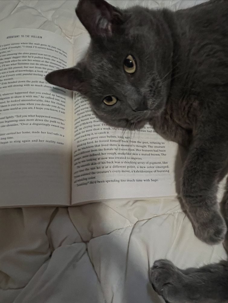Photo of a gray cat laying on an open book on top of a white blanket.