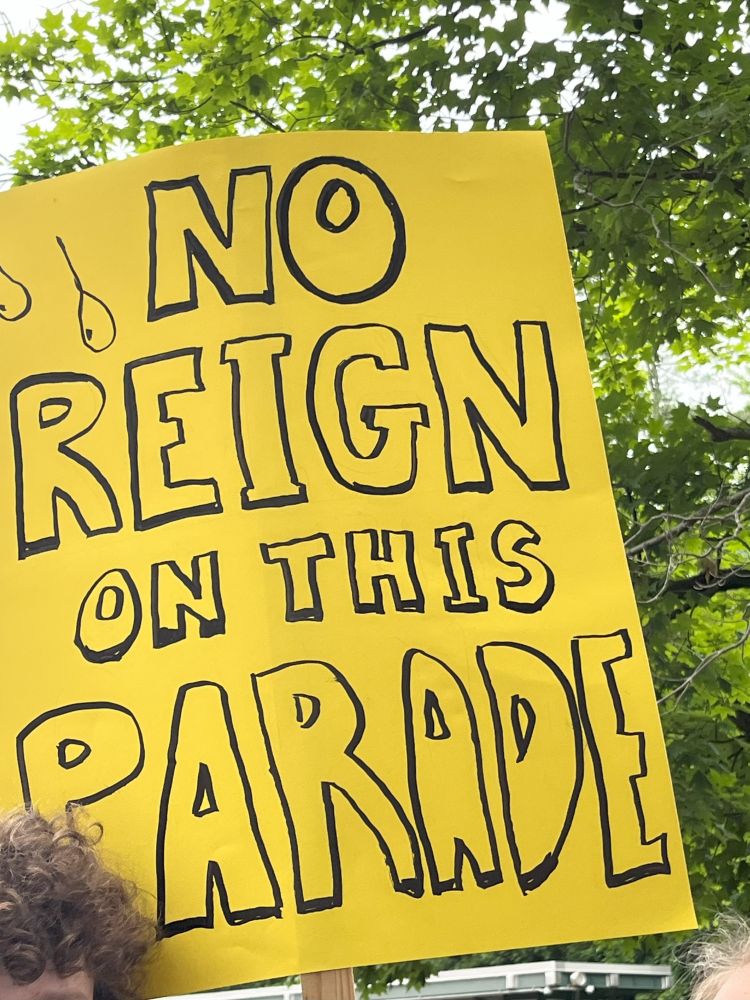Protest sign that says "No reign on this Parade"