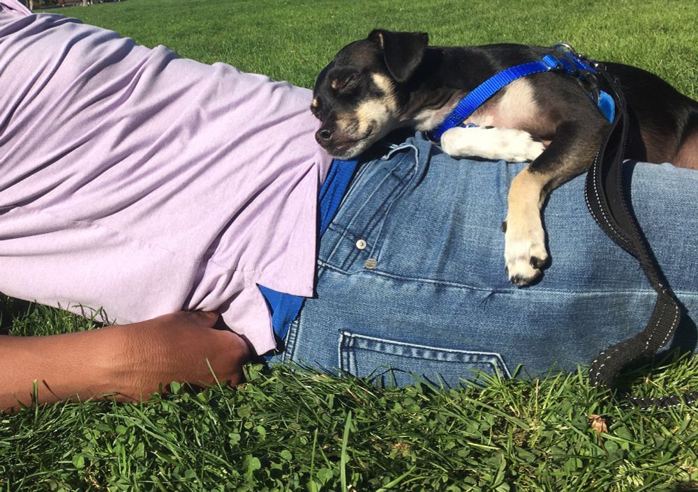 Dog laying on a man’s lap as the man leans back
