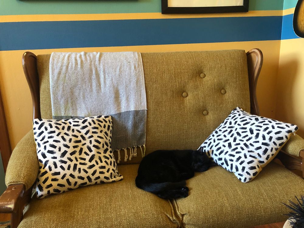cute cat Pete on cute couch, he sleeping but his eyes are closed and you can’t distinguish any features, he’s just a dark void of black 