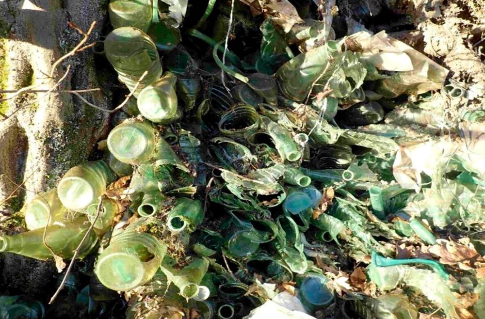 Décharge sauvage de bouteilles en plastique de Nestlé, Vosges. © Photo OFB (via Mediapart)