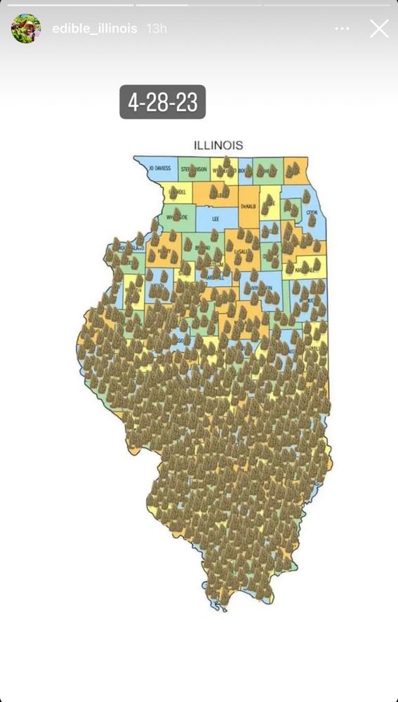 A map of morel sightings in Illinois from last week