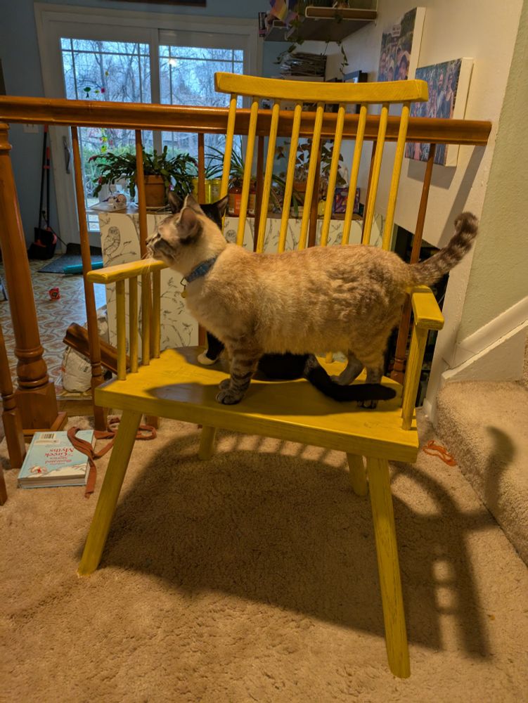 A yellow chair is shown inside, on a stair landing. There are two cats on the seat of the chair, but mostly you can only see the tawny 2-braincell cat in front. 