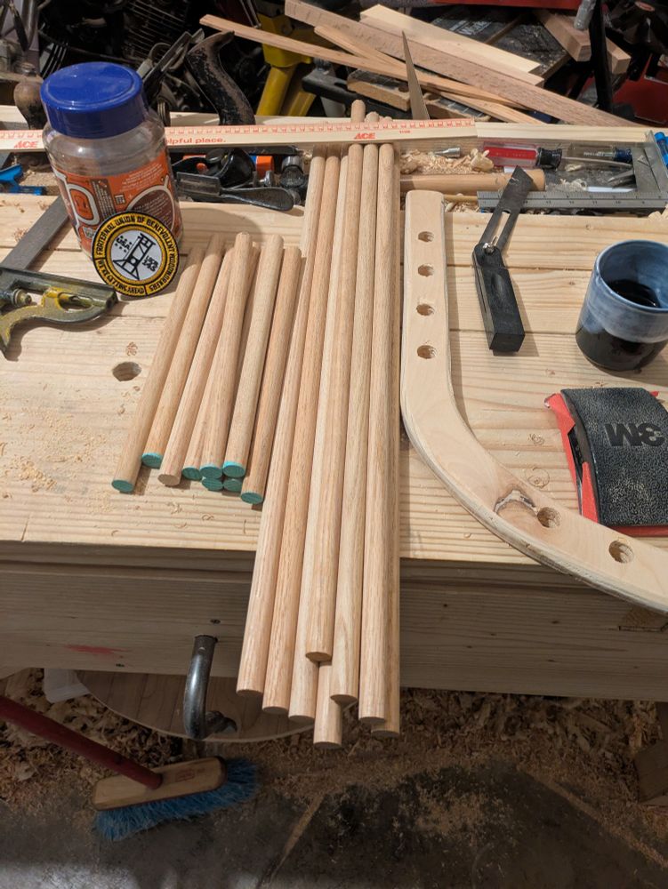 Many oak dowels on a workbench, awaiting saw cuts to place wedges in . 