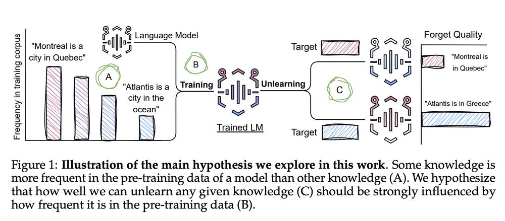 Diagram illustrating a hypothesis about knowledge unlearning in language models. The left side shows a training corpus with varying frequencies of facts, such as 'Montreal is a city in Quebec' (high frequency) and 'Atlantis is a city in the ocean' (lower frequency). The center shows a language model being trained on this data, then undergoing unlearning. The right side demonstrates the 'Forget Quality' results, where the model more effectively unlearns the less frequent fact ('Atlantis is in Greece') while retaining the more frequent knowledge. Labels A, B, and C mark key points in the hypothesis: A (frequency variations in training data), B (influence of frequency), and C (unlearning effectiveness).