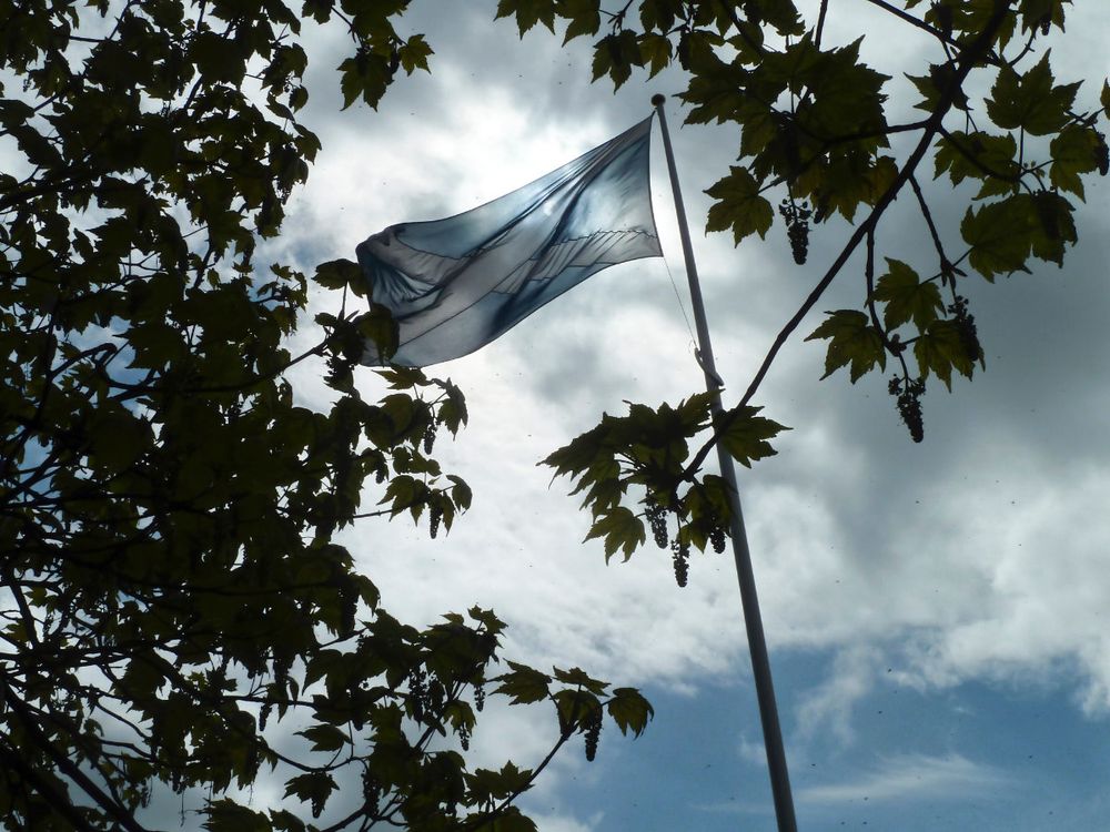 Photograph of a Scottish Saltire flying with a cloudy sky behind and leaves from a tree in the foreground.