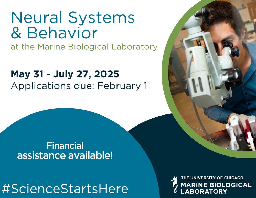 A flyer for the MBL's 2025 Neural Systems & Behavior course