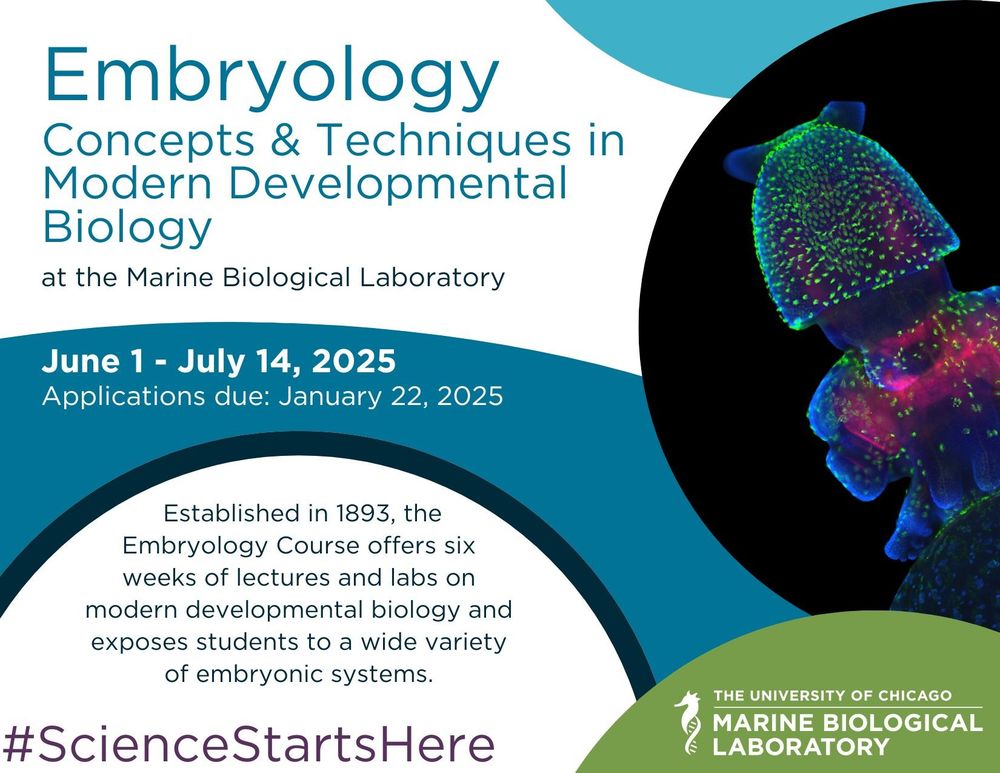 Flyer for the MBL's 2025 Embryology course