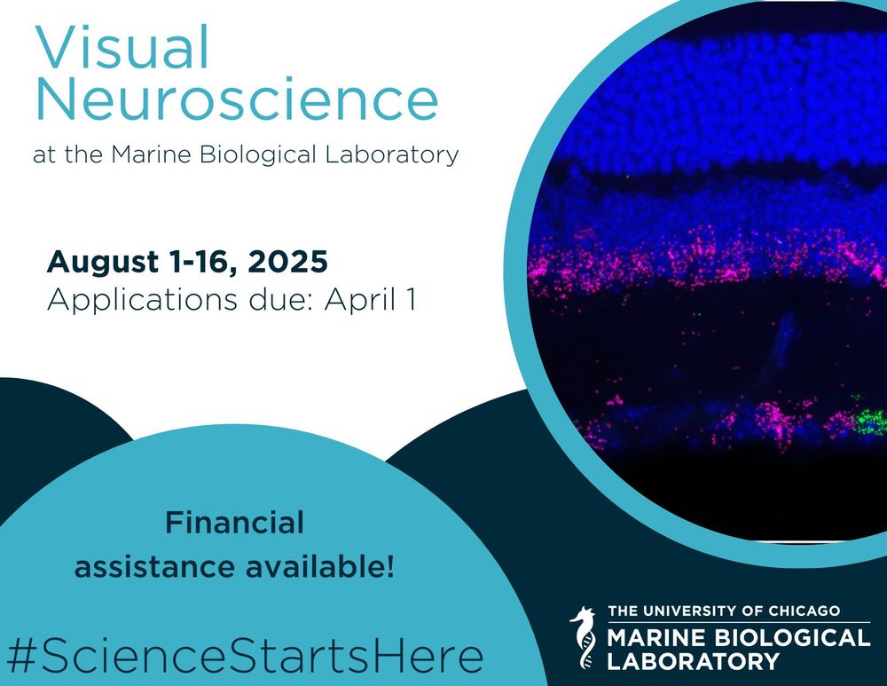 A flyer for the MBL's 2025 Visual Neuroscience course, which will run from August 1 to 16, 2025. Applications are now due April 1, and financial assistance is available. The image also includes the hashtag #ScienceStartsHere and a logo for the MBL.