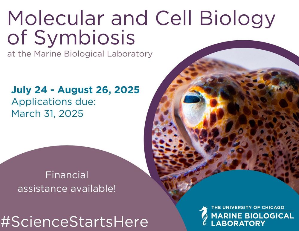A flyer for the MBL's 2025 Molecular and Cell Biology of Symbiosis course, which will run July 24 to August 26, 2025. Applications are now due March 31, and financial assistance is available. The image also includes the hashtag #ScienceStartsHere, a logo for the MBL, and a picture of a cephalopod