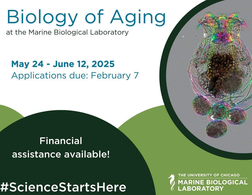 A flyer for the MBL's 2025 Biology of Aging course. The course runs from May 24 to June 12, 2025. Applications are due February 7, and financial assistance is available.