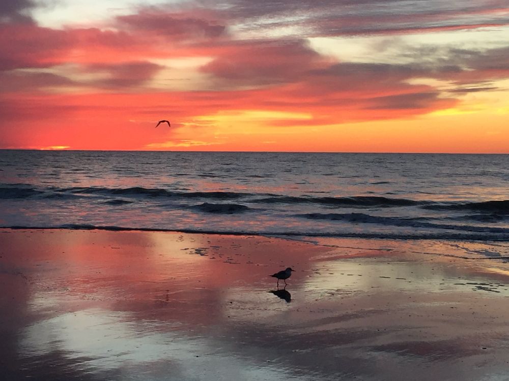 Sunrise in Myrtle Beach SC