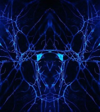 Pale blue lines pulled from a photo of neurons create the shape of a scarab on a deeply saturated dark blue background
