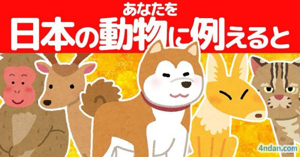 あなたを日本の動物に例えると！！