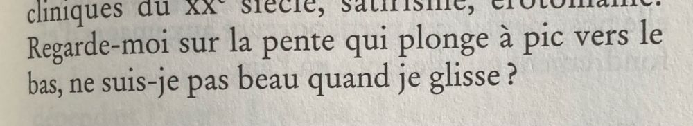 Citation de Maria Pourchet dans son romanWestern : regarde moi sur la pente qui plonge à pic vers le bas, ne suis je pas beau quand je glisse ?