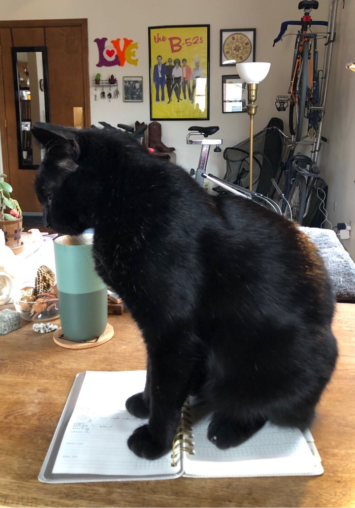 A short haired black cat sits on an open notebook on a desk. A B52s poster and  bikes are in the background. 