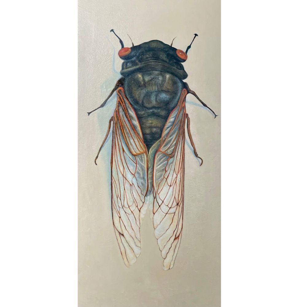 Brood X Cicada Oil Painting