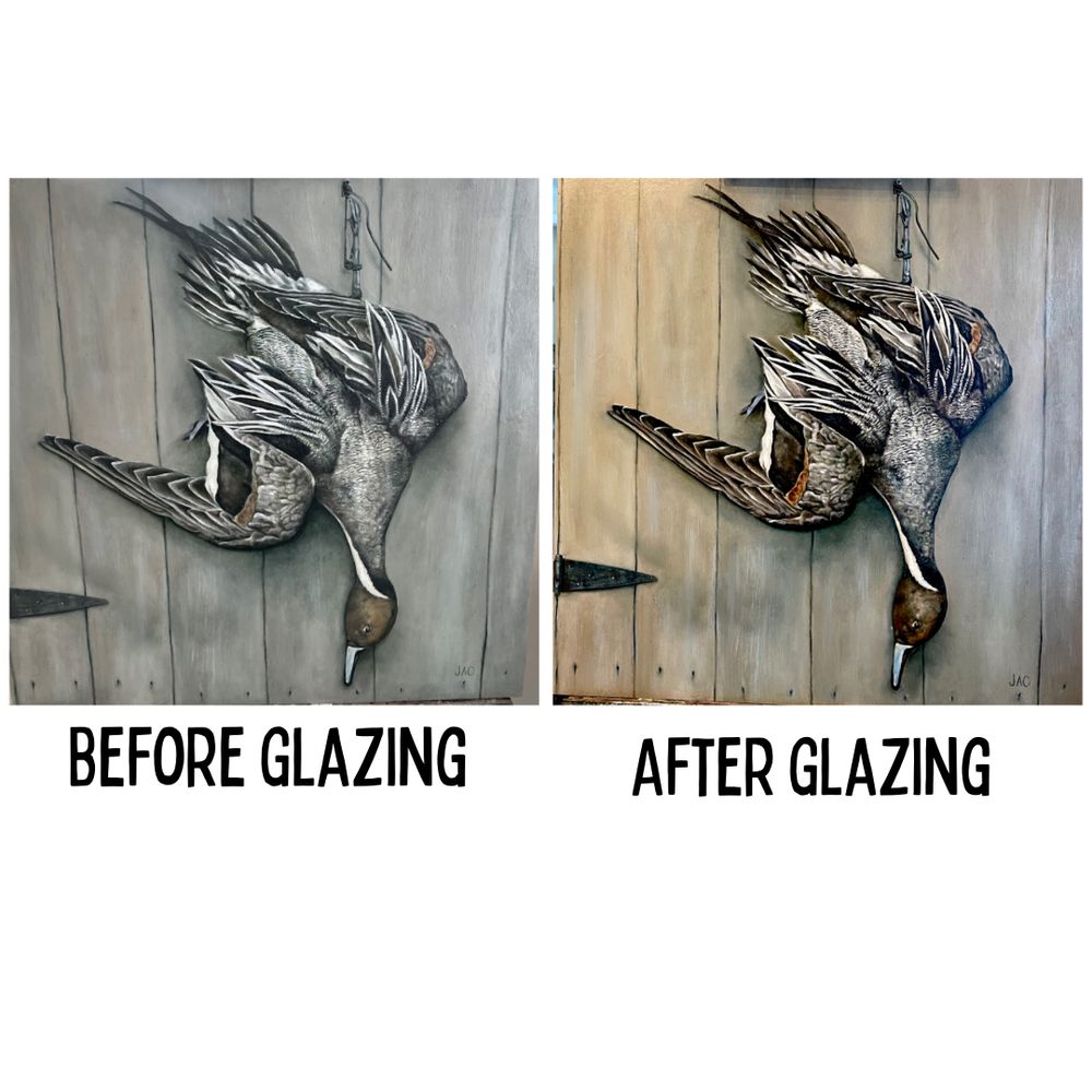 A tutorial on the difference oil glazes make on a pintail duck painting 