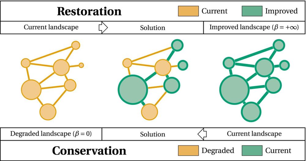 Illustration of the equivalence between restoration and conservation problems, assuming that all of the landscape elements will be degraded if no conservation options are taken, that is the budget β is null.