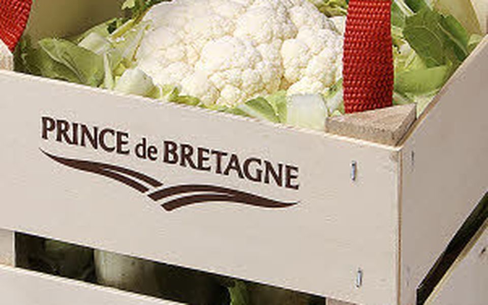 Un chou fleur prince de Bretagne