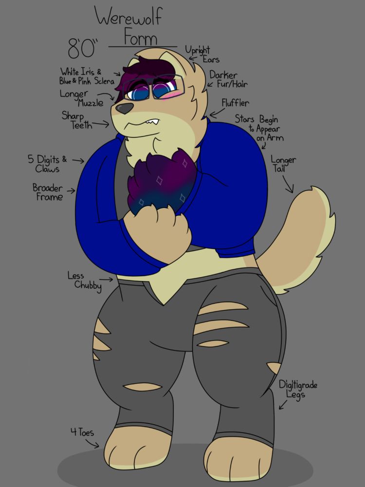 "Werewolf Form"
8'0"
Upright Ears
White Iris & Blue & Pink Sclera
Longer Muzzle
Darker Fur/Hair
Sharp Teeth
Fluffier
Stars Begin to Appear on Arm
5 Digits & Claws
Longer Tail
Broader Frame
Less Chubby
Digitigrade Legs
4 Toes