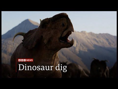 Mystery of Pachyrhinosaurus (dinosaur) mass grave in Canada/(Global) - 19/May/2025