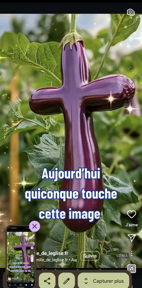 Capture d'écran d'une vidéo Instagram. C'est une aubergine - crucifix. Oui. Une aubergine crucifix 