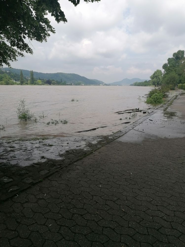 Hochwasser auf einem Teil der Rheinpromenade.