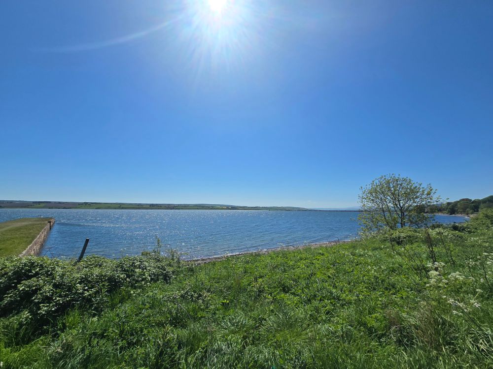 A view across the firth, with greenery in the foreground leading to shining water and the other coast just visible in the background 
