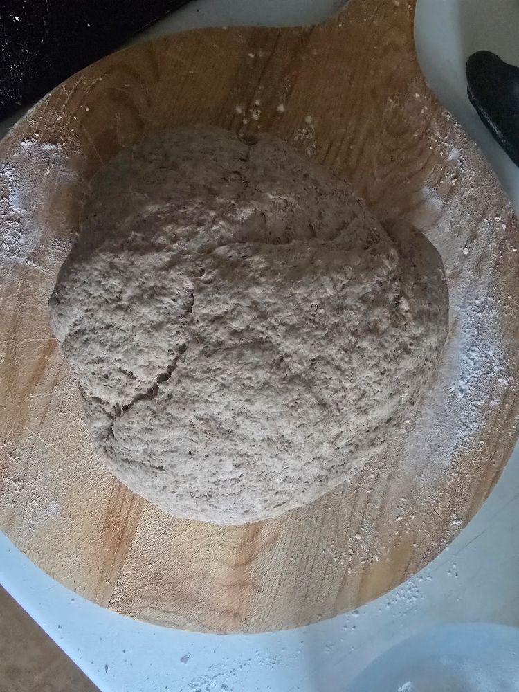 Some semi proved wholemeal dough