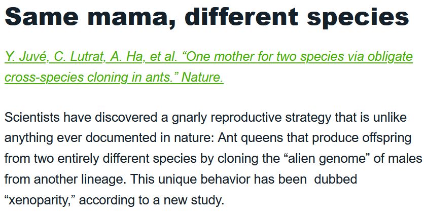 Same mama, different species
----------------------------

Y. Juvé, C. Lutrat, A. Ha, et al. “One mother for two species via obligate cross-species cloning in ants.” Nature.

Scientists have discovered a gnarly reproductive strategy that is unlike anything ever documented in nature: Ant queens that produce offspring from two entirely different species by cloning the “alien genome” of males from another lineage. This unique behavior has been  dubbed “xenoparity,” according to a new study.
