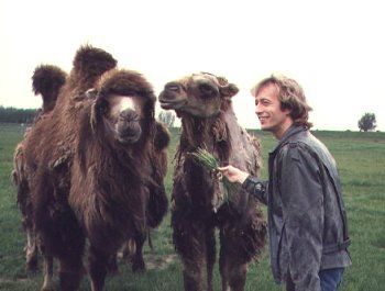 Robin Gibb of the Bee Gees with some camels